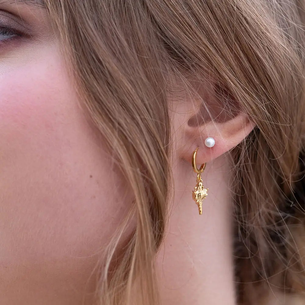 Conch Shell Huggie Hoop Earrings