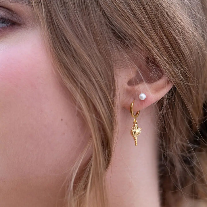 Conch Shell Huggie Hoop Earrings