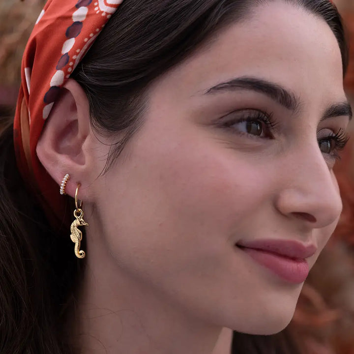 Seahorse Hoop Earrings