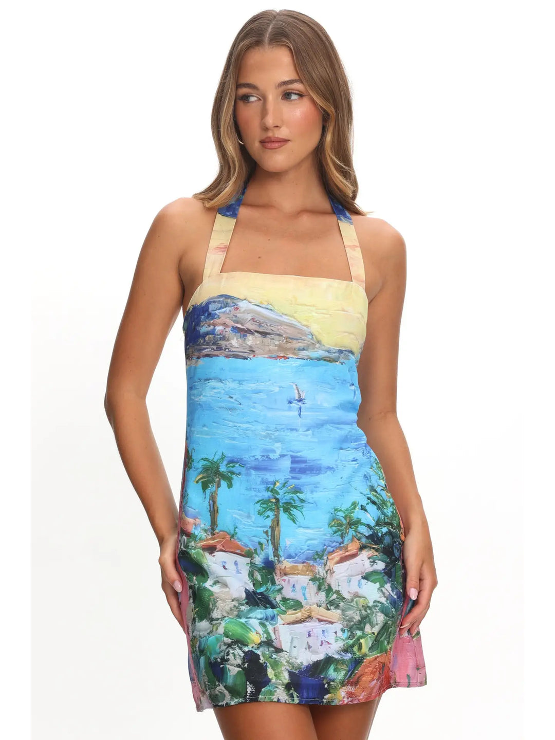 Tropical Horizon Mini Dress