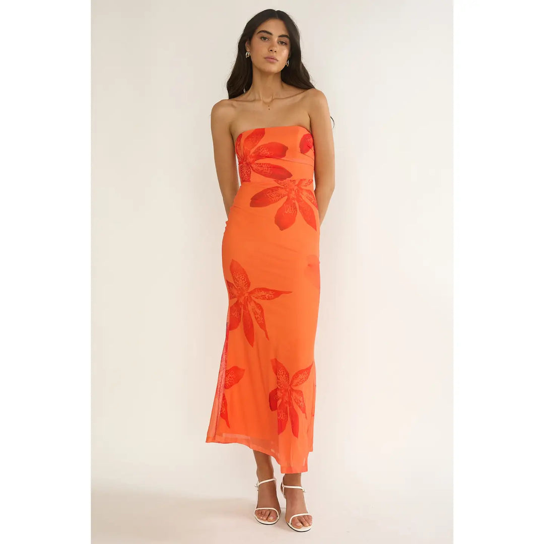 Something in the Orange Mesh Maxi Dress
